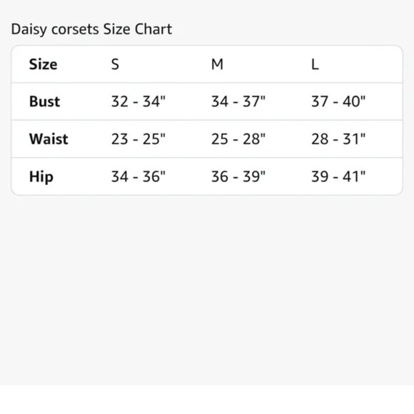 NEW Women's Sexy 4-Piece Halloween Corset Costume $130 Hat Sword Corset Skirt M! - Picture 7 of 7